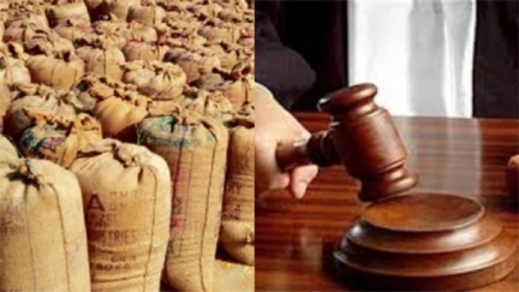 "चूहों के बहाने पर हाईकोर्ट सख्त, राहत से इनकार"