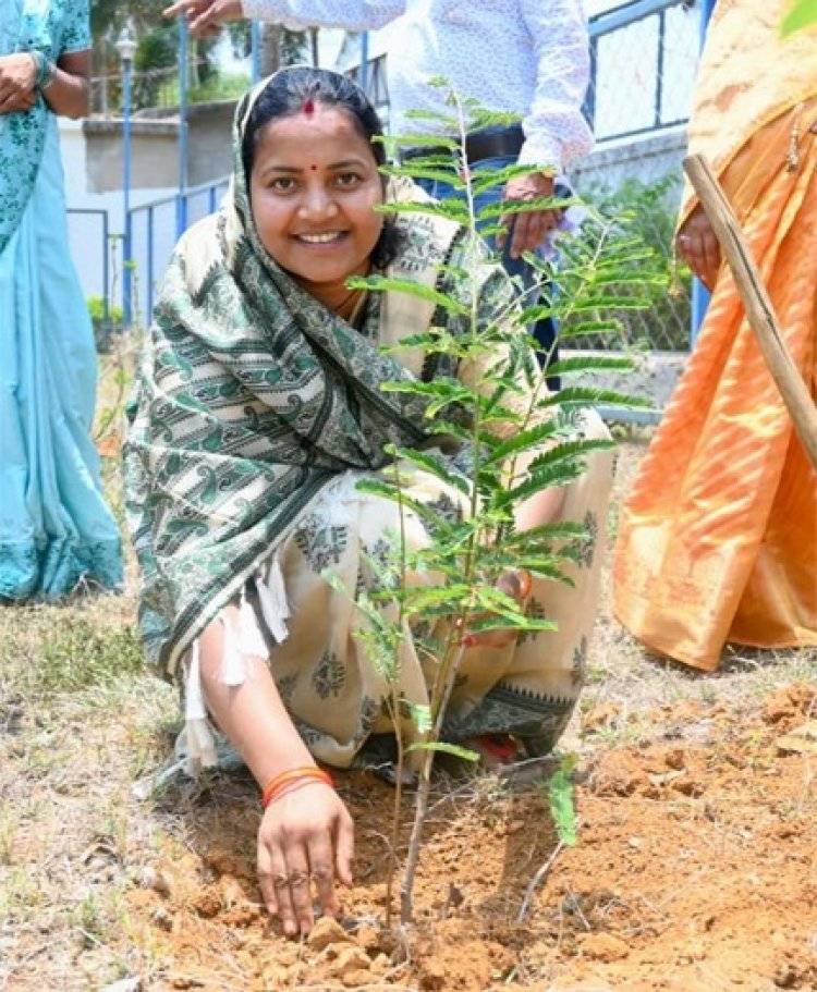 विश्व पर्यावरण दिवस पर मंत्री लक्ष्मी राजवाड़े ने किया पौधरोपण