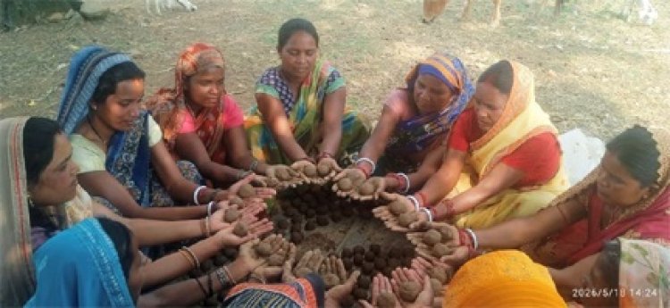 सीड बॉल बनाकर प्रकृति संरक्षण की अनूठी पहल, हरित जशपुर के निर्माण पर जोर