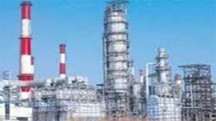 CSIDC का बड़ा एक्शन, 800 उद्योगपतियों से जवाब तलब