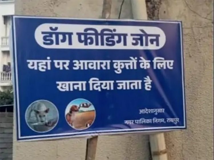 आवारा कुत्तों की फीडिंग पर नया नियम