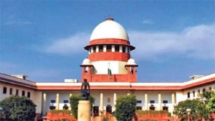सट्टा केस में शहबाज को मिली अंतरिम जमानत