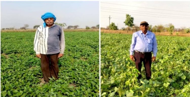 बेमेतरा जिले में दलहन के रकबे में चार गुना की वृद्धि