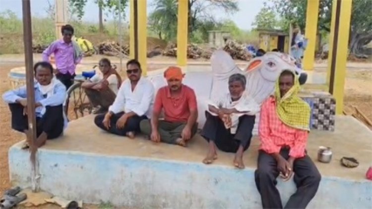 जमीन निगल गई या आसमान? 16 भैंसों का सुराग नहीं