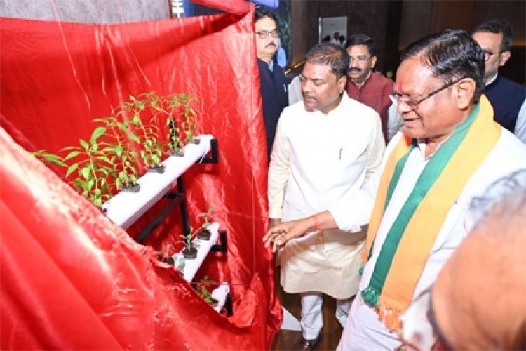हाइड्रोपोनिक्स तकनीक : खेती का नया और स्मार्ट विकल्प