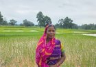 बिहान योजना से सशक्त हुईं मीरा बाई, कृषि और मत्स्य पालन से बनीं आत्मनिर्भर