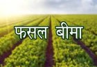 31 जुलाई तक कराएं बागवानी फसलों का बीमा, प्राकृतिक जोखिमों से मिलेगी आर्थिक सुरक्षा