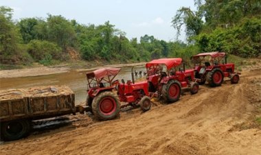 रेत की अवैध तस्करी पर वन विभाग का बड़ा प्रहार, 12 ट्रैक्टर जब्त