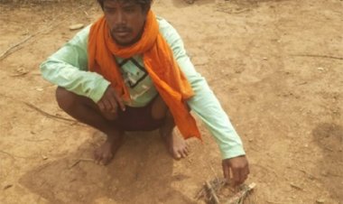 वन्यजीव संरक्षण में बड़ी सफलता : नर चीतल के अवैध शिकार का खुलासा, सात आरोपी गिरफ्तार, न्यायालय ने भेजा जेल