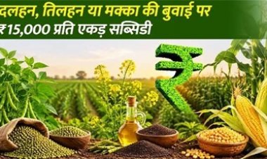 धान के बदले वैकल्पिक फसलों पर 15 हजार रुपये प्रति एकड़ मिलेगी आदान सहायता राशि