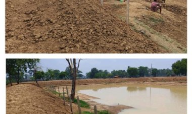 बारिश के साथ दिखने लगा ‘मोर गांव-मोर पानी’ अभियान का असर