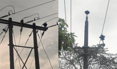 बिजली, इंटरनेट, मोबाइल बंद… मेटापाल में आफत