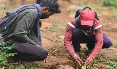 उदंती-सीतानदी में जंगल बसाने की अनोखी पहल