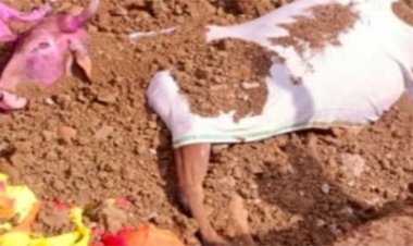 मरकामटोला के मौन में गूंजा नंदी महाराज का स्मरण