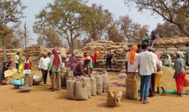 'जीरो शॉर्टेज' के दावे के बीच 35 हजार क्विंटल धान का खेल