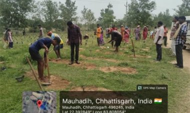 जशपुर जिले में 2 लाख 72 हजार साजा-अर्जुना पौधों का पौधरोपण शुरू