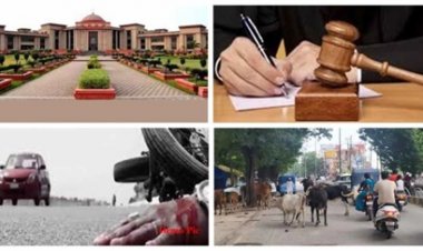 6967 मौतों पर हाई कोर्ट की कलेक्टरों को फटकार