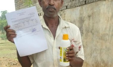 नैनो डीएपी: कम लागत, बेहतर पोषण से भरपूर उत्पादन