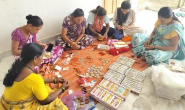 पर्यावरण संरक्षण की अनोखी पहल : सारंगढ़-बिलाईगढ़ में बिहान दीदियों की बीज राखी बिखेरेगी हरियाली