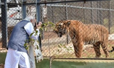 प्रकृति और वन्यजीव संरक्षण का अनूठा संगम है नंदनवन जंगल सफारी