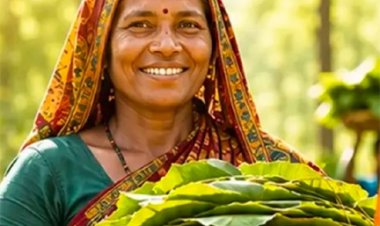 तेंदूपत्ता संग्राहकों के सामाजिक-आर्थिक सशक्तिकरण की ओर छत्तीसगढ़