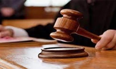 रायपुर: फर्जी जमानत रैकेट का पर्दाफाश, कोर्ट सख्त