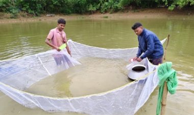 बस्तर की मनकी बघेल ने स्पान संवर्धन योजना से 2 माह में कमाए 15 हजार रुपये