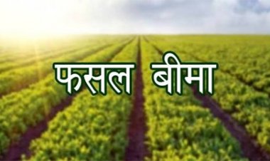 31 जुलाई तक कराएं बागवानी फसलों का बीमा, प्राकृतिक जोखिमों से मिलेगी आर्थिक सुरक्षा