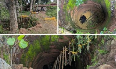कटहल बना मुसीबत, कुएं में गिरा भालू, 15 घंटे बाद रेस्क्यू