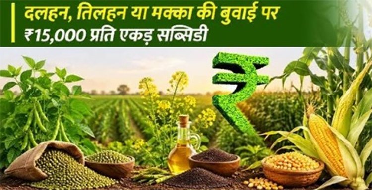 धान के बदले वैकल्पिक फसलों पर 15 हजार रुपये प्रति एकड़ मिलेगी आदान सहायता राशि