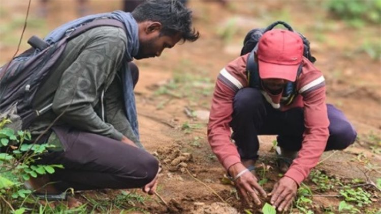 उदंती-सीतानदी में जंगल बसाने की अनोखी पहल