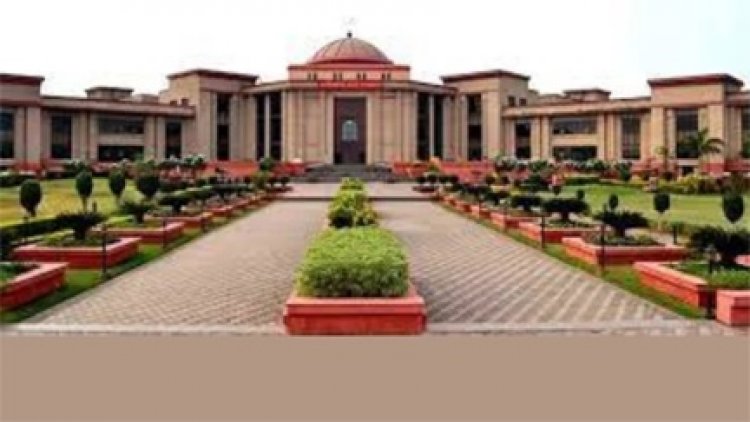 हाई कोर्ट सख्त, 10 किमी के भीतर आरा मिलें बंद रहेंगी