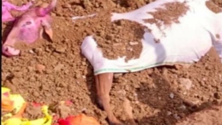 मरकामटोला के मौन में गूंजा नंदी महाराज का स्मरण