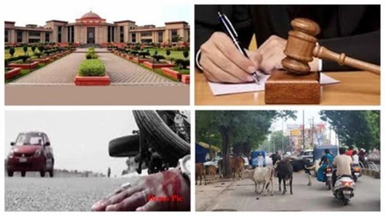6967 मौतों पर हाई कोर्ट की कलेक्टरों को फटकार