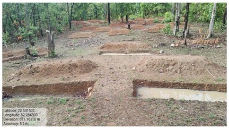 कटघोरा के जंगलों को मिला जीवन, कंटूर ट्रेंच में भरा वर्षा जल