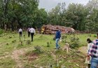 मलेरिया के खिलाफ जंगलों में उतरा स्वास्थ्य महकमा, संवेदनशील इलाकों की परखी तैयारियां