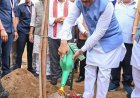 मुख्यमंत्री विष्णुदेव साय ने अपनी माँ के नाम पर लगाया पीपल का पौधा, वन महोत्सव-2026 का हुआ शुभारंभ