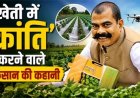 देशी गायों से जैविक खाद, खेती में नई सफलता