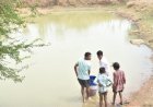 जल संरक्षण से बदला जीवन: धमतरी के भोथापारा में आजीविका डबरी बनी आर्थिक स्वावलंबन का नया आधार