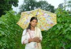 बाड़ी से निकली समृद्धि की राह, सपनों को मिली नई उड़ान