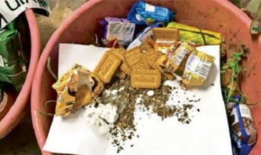 केंद्रीय जेल में बिस्किट-प्याज में छिपाकर पहुंच रहा था गांजा
