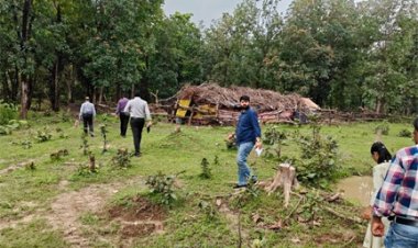 मलेरिया के खिलाफ जंगलों में उतरा स्वास्थ्य महकमा, संवेदनशील इलाकों की परखी तैयारियां