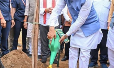 मुख्यमंत्री विष्णुदेव साय ने अपनी माँ के नाम पर लगाया पीपल का पौधा, वन महोत्सव-2026 का हुआ शुभारंभ