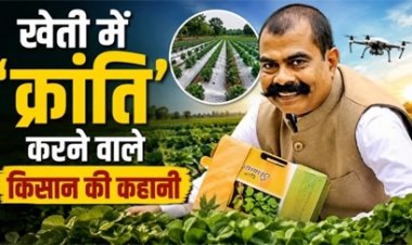 देशी गायों से जैविक खाद, खेती में नई सफलता