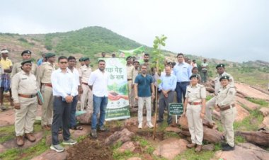 पथरीली पहाड़ियों को हराभरा बनाने की अनोखी पहल