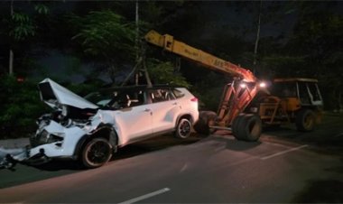 रायपुर में तेज रफ्तार कार का कहर, हादसे में चार गोवंशों की मौत