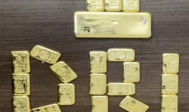 बेल्ट-बैग और टिफिन में छिपा 50 करोड़ का सोना पकड़ा गया
