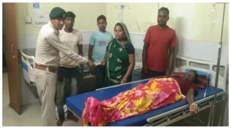 सेल्फी-वीडियो का शौक पड़ा भारी, गजराज हुए आक्रामक