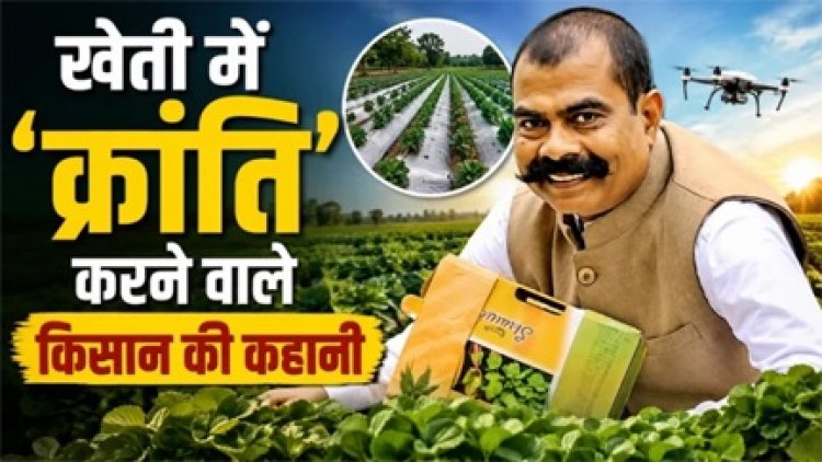 देशी गायों से जैविक खाद, खेती में नई सफलता