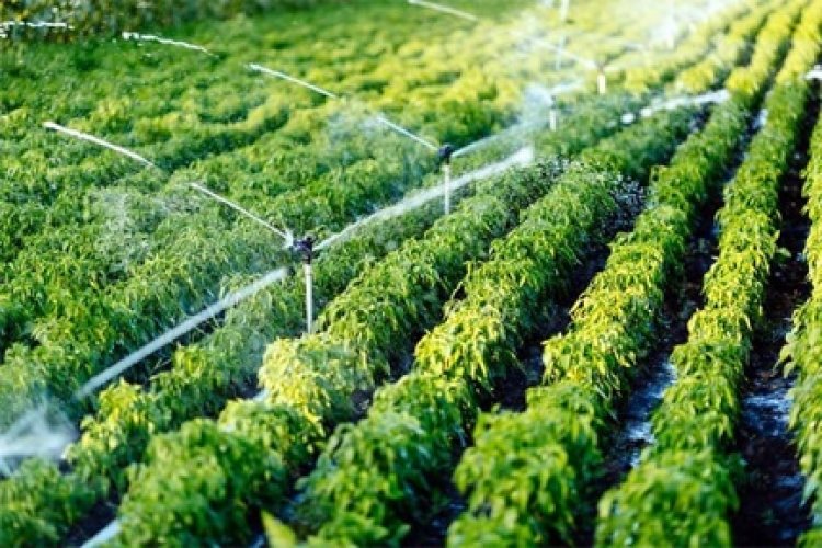 सिंचाई योजनाओं के 36 कार्यों के लिए 5 करोड़ रूपए स्वीकृत